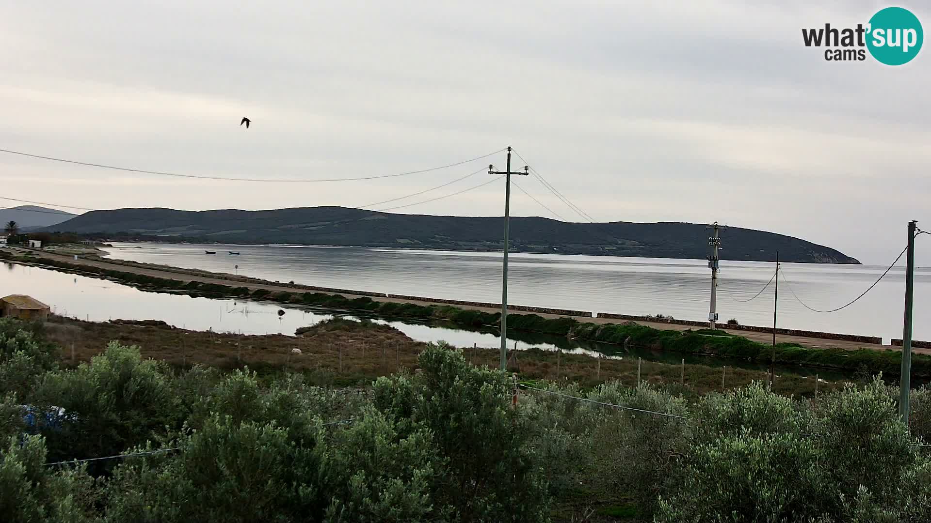 Strand Porto Botte webcam | Sardinien