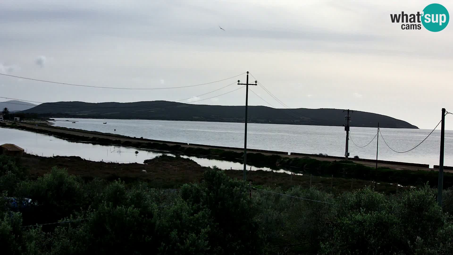 Webcam Porto Botte spiaggia | Sardegna