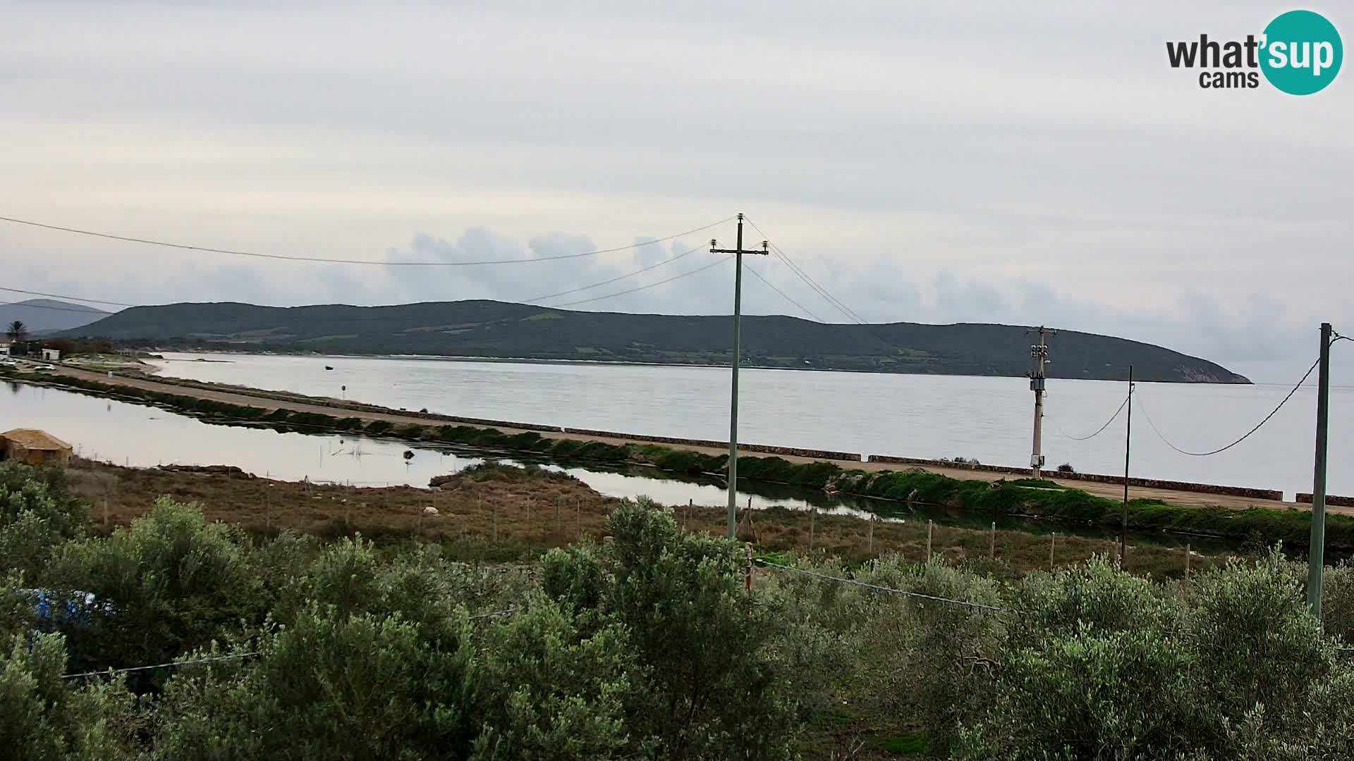 Playa Porto Botte webcam | Cerdena