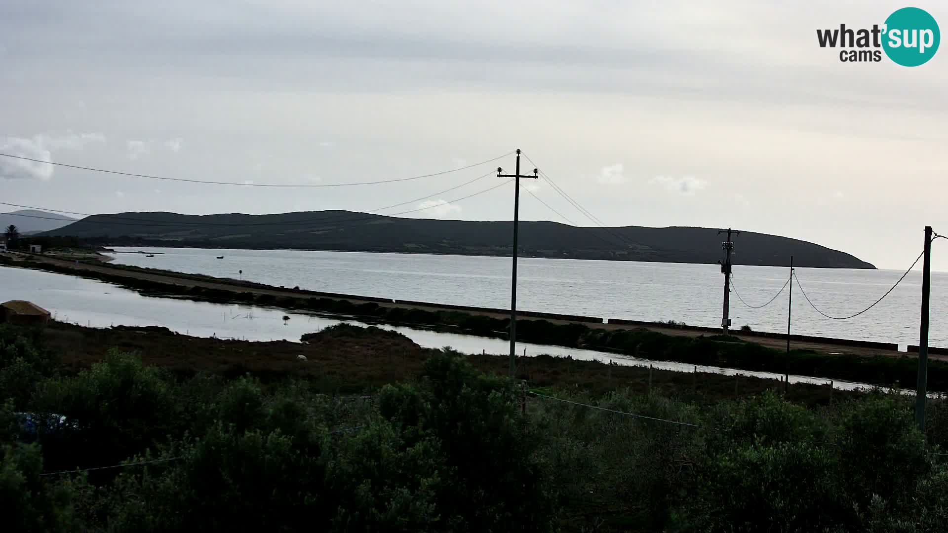 Playa Porto Botte webcam | Cerdena