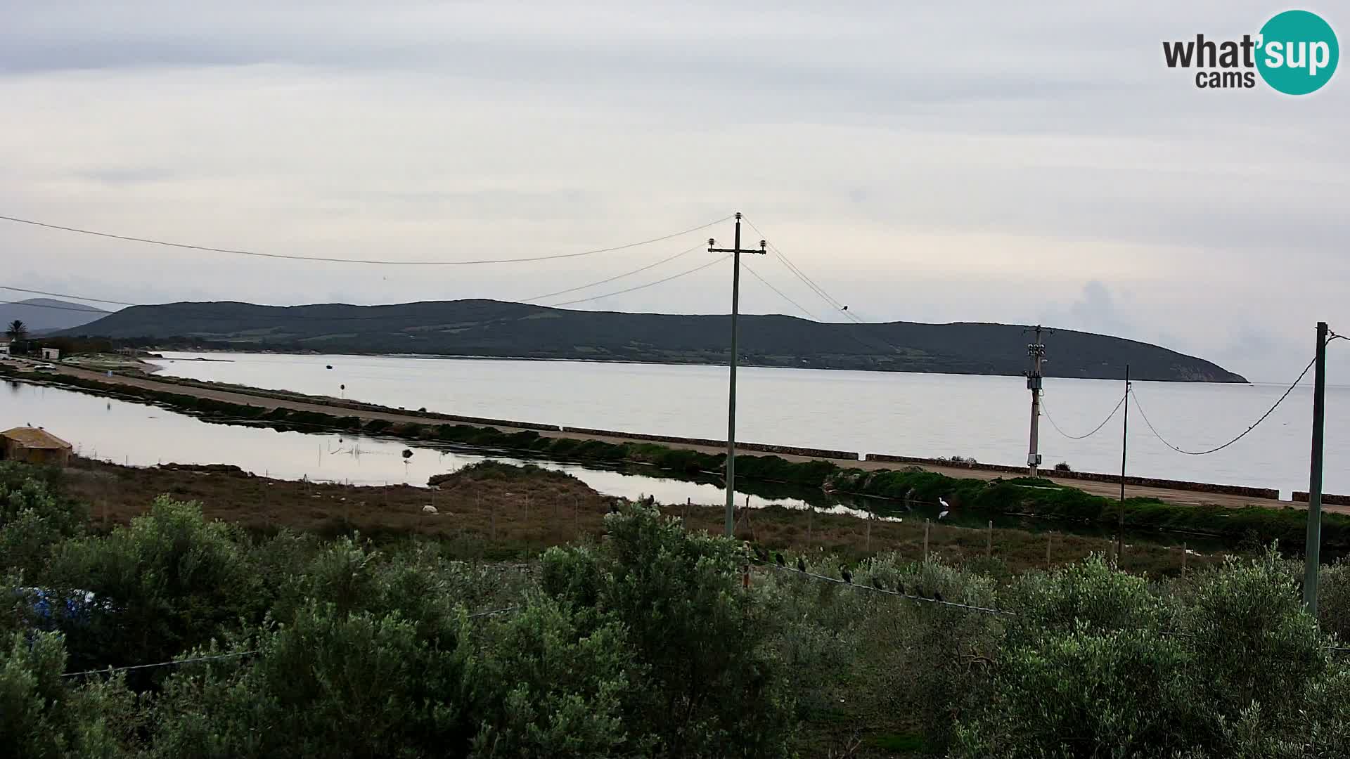 Webcam Porto Botte spiaggia | Sardegna