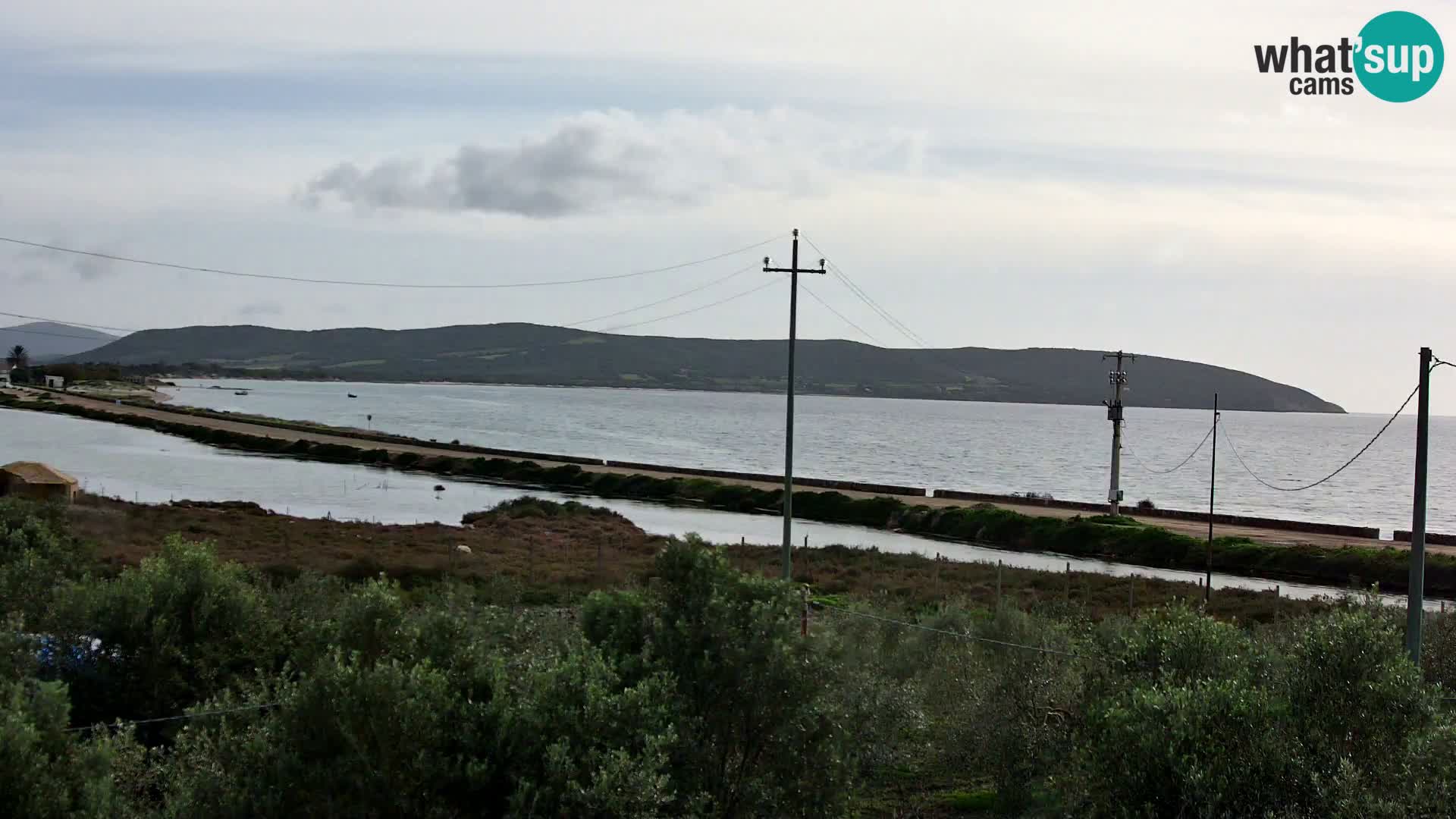 Playa Porto Botte webcam | Cerdena