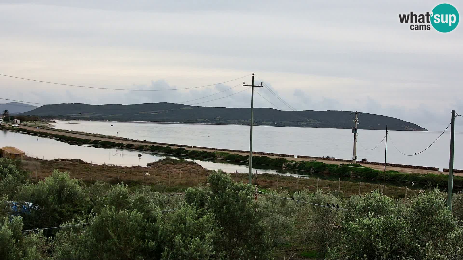Playa Porto Botte webcam | Cerdena