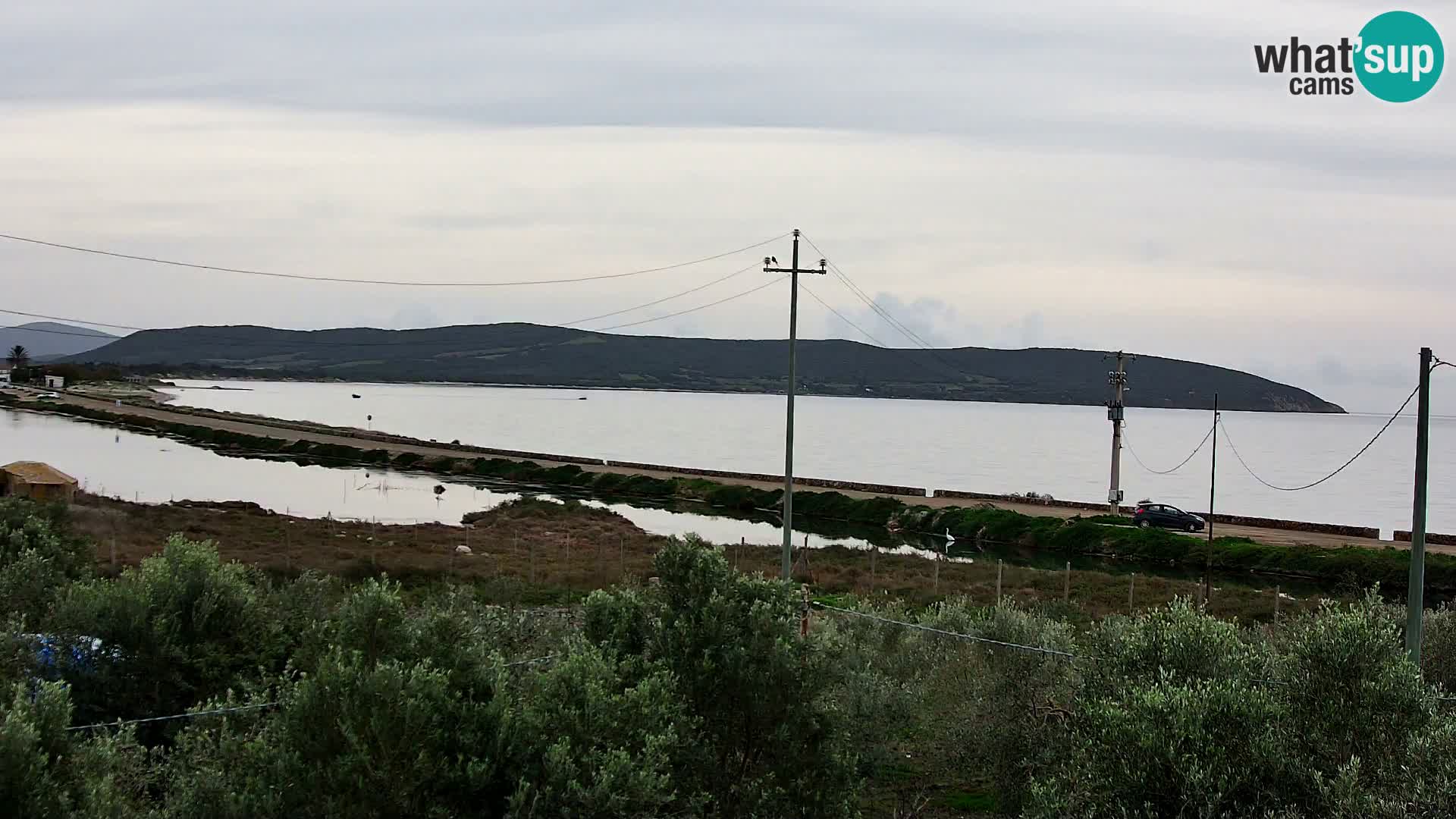 Webcam Porto Botte spiaggia | Sardegna