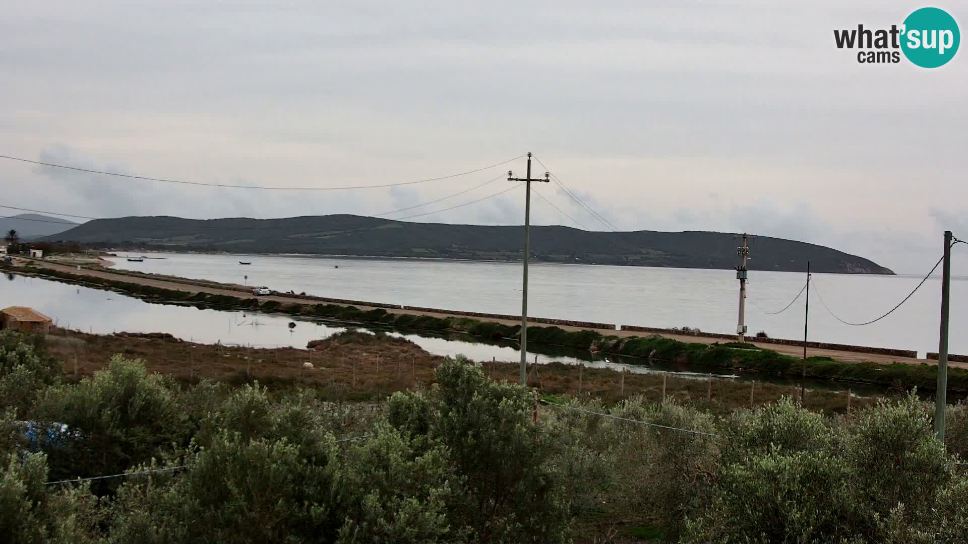 Beach Porto Botte webcam | Sardinia