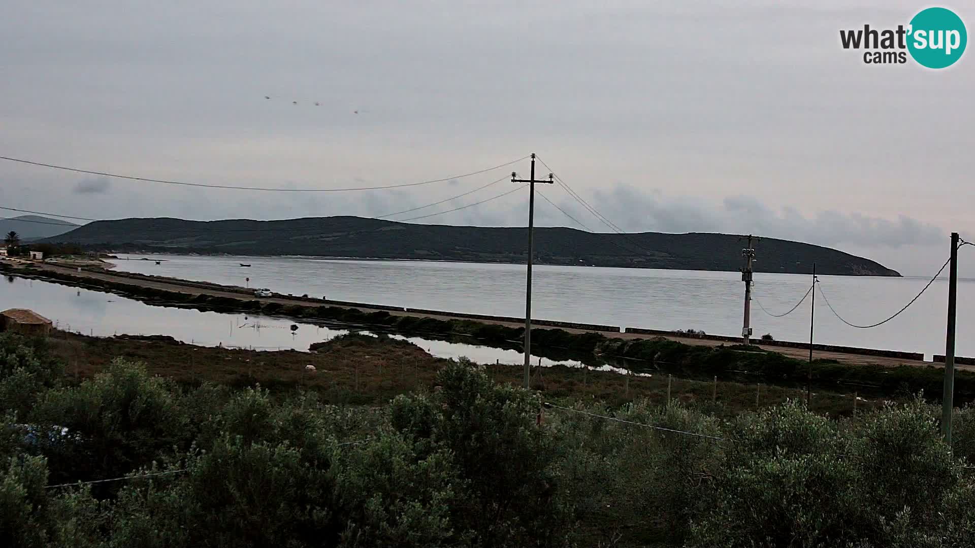 Playa Porto Botte webcam | Cerdena