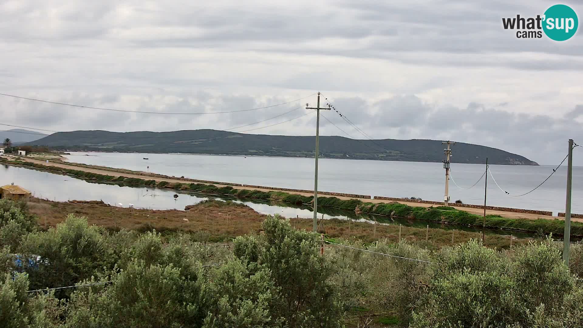 Plage Porto Botte webcam | Sardaigne