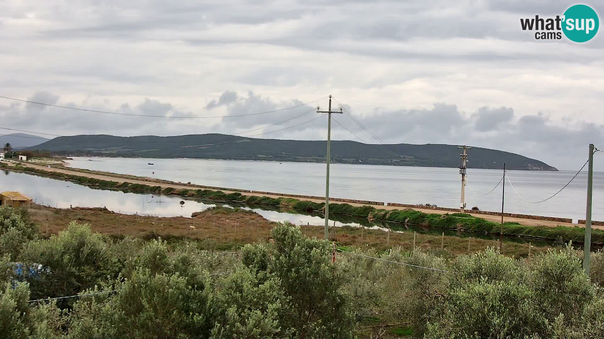 Playa Porto Botte webcam | Cerdena