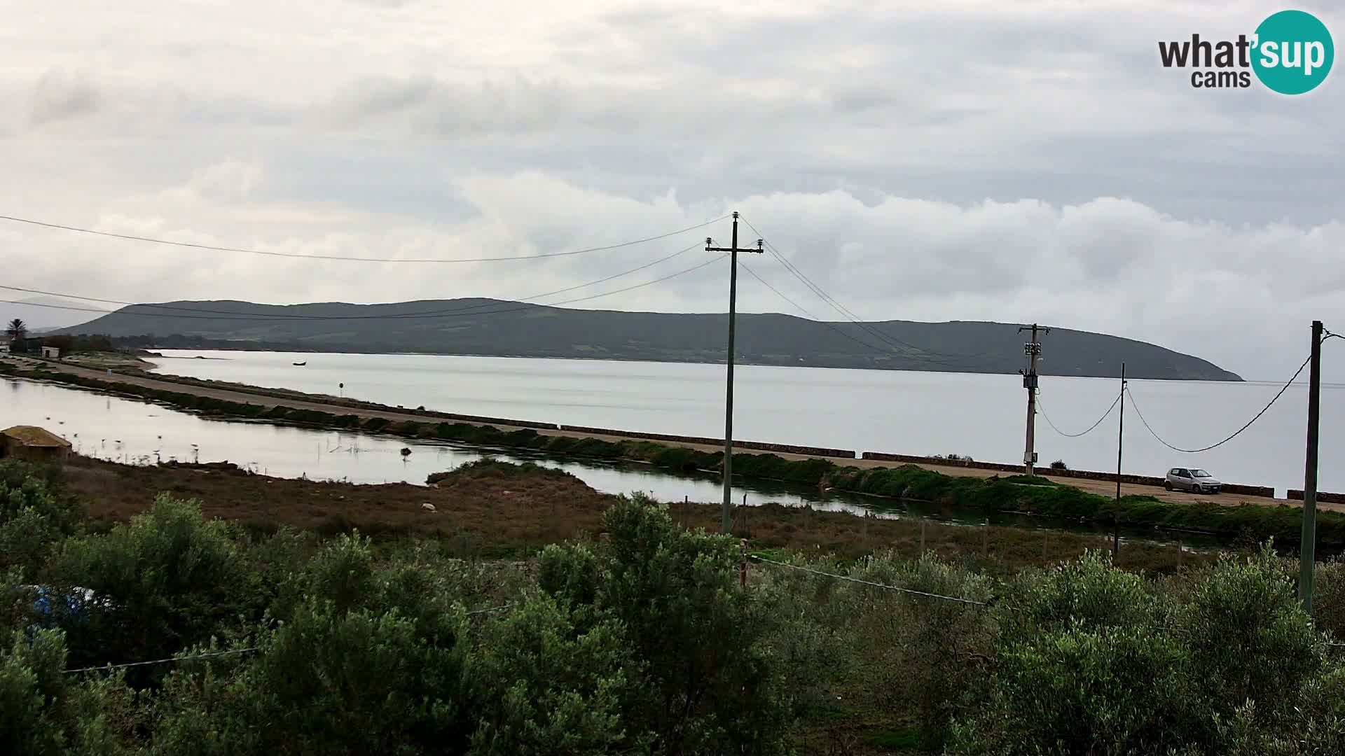 Plage Porto Botte webcam | Sardaigne