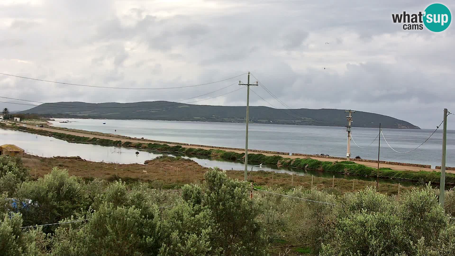 Playa Porto Botte webcam | Cerdena