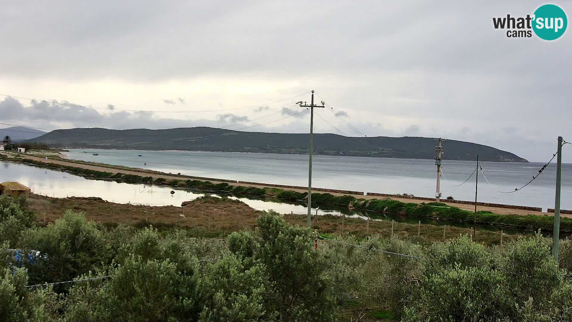 Playa Porto Botte webcam | Cerdena