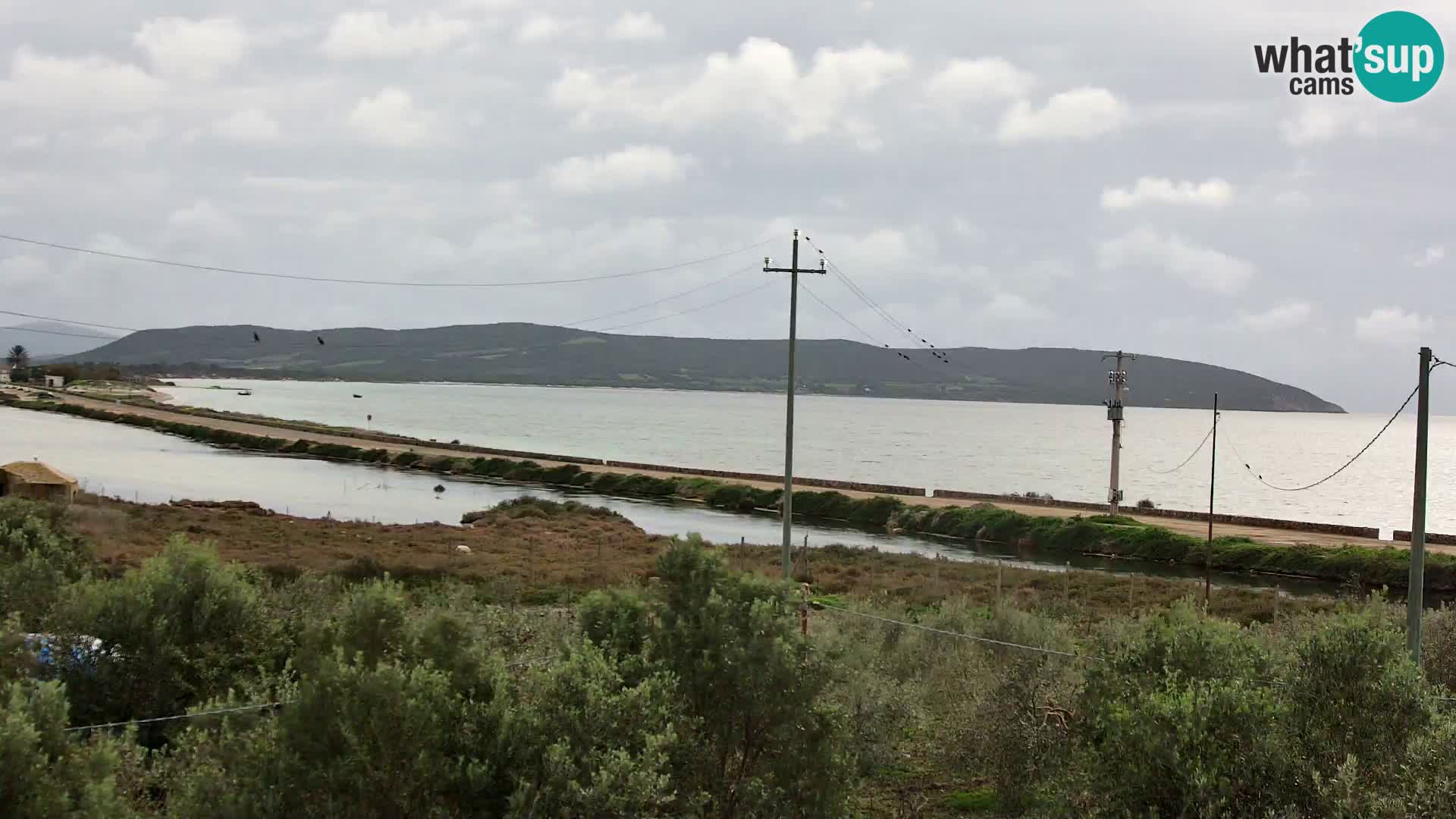 Beach Porto Botte webcam | Sardinia
