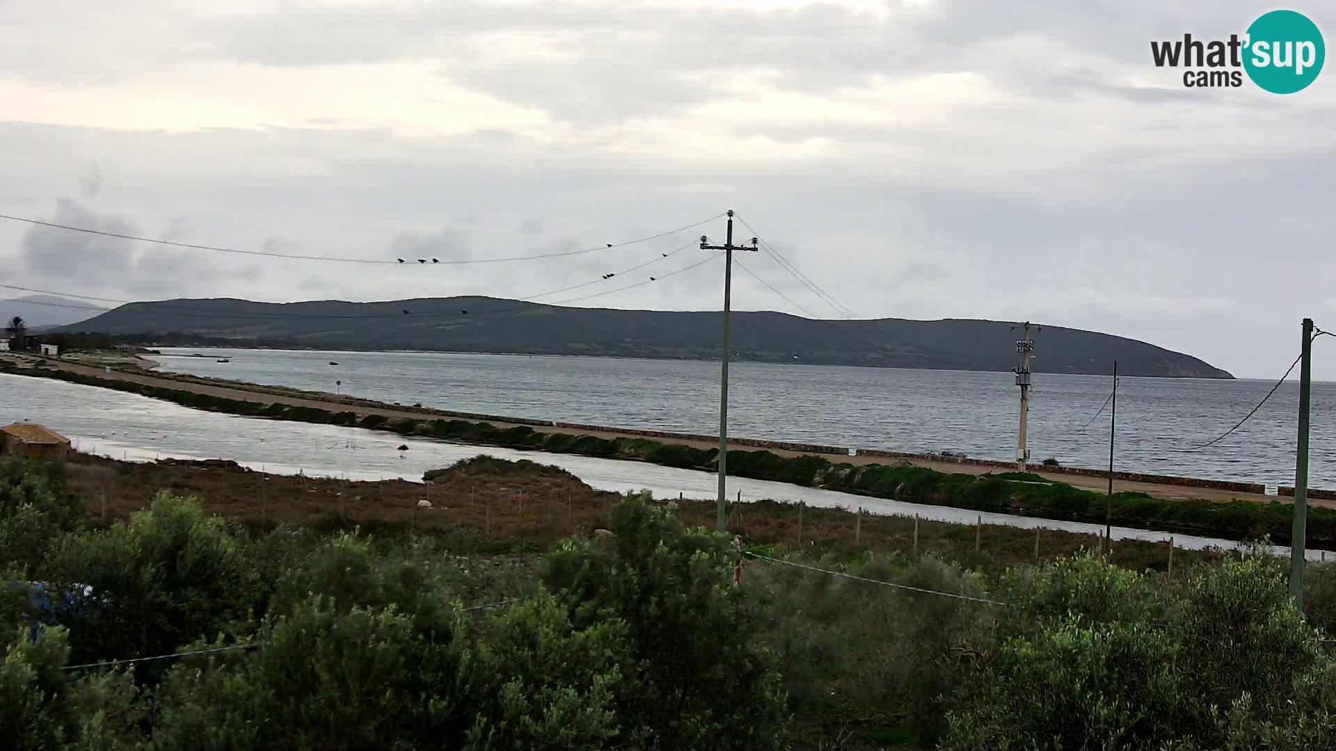 Beach Porto Botte webcam | Sardinia