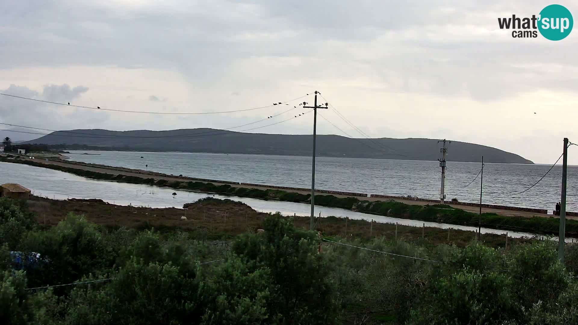 Webcam Porto Botte spiaggia | Sardegna