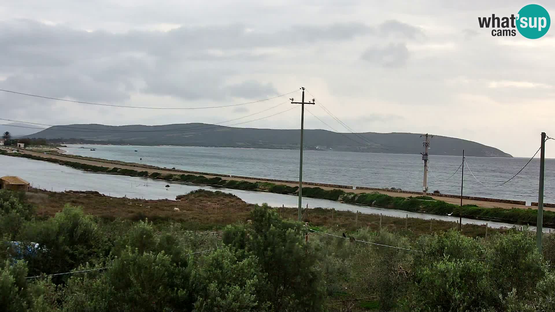 Beach Porto Botte webcam | Sardinia