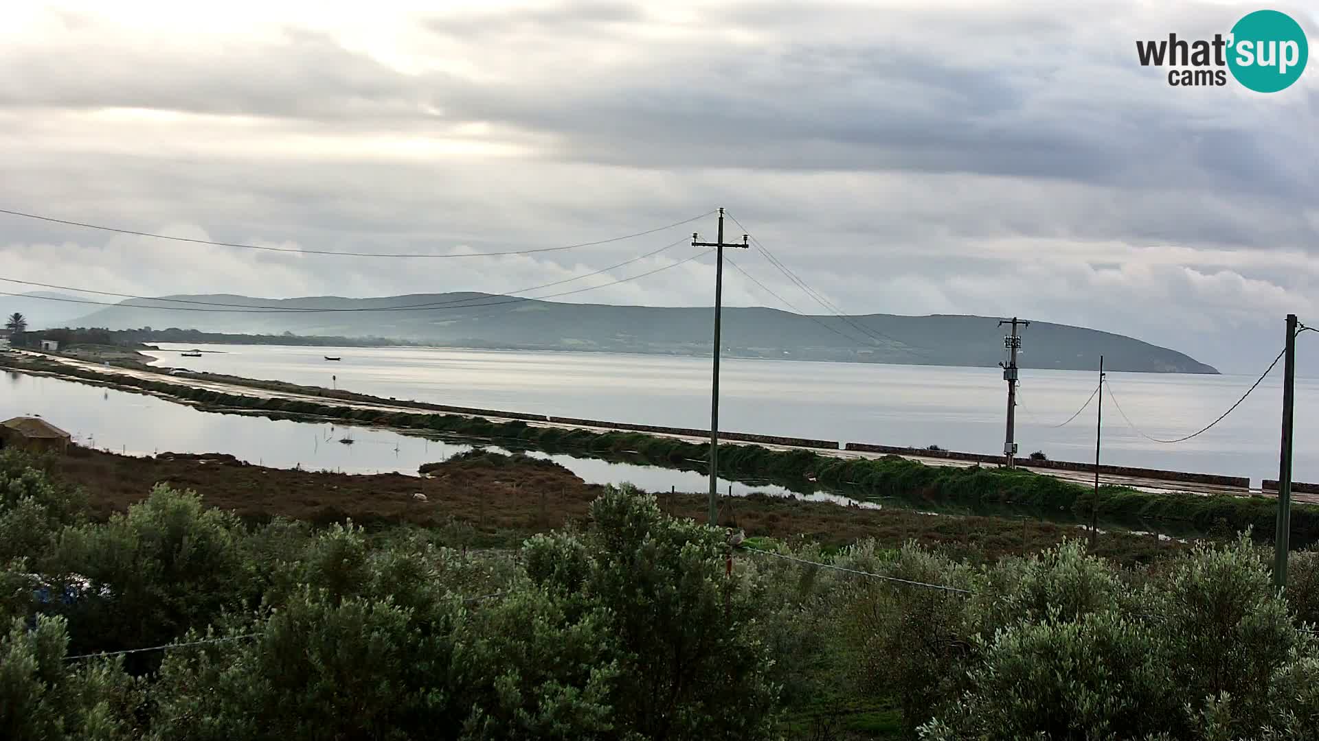 Beach Porto Botte webcam | Sardinia