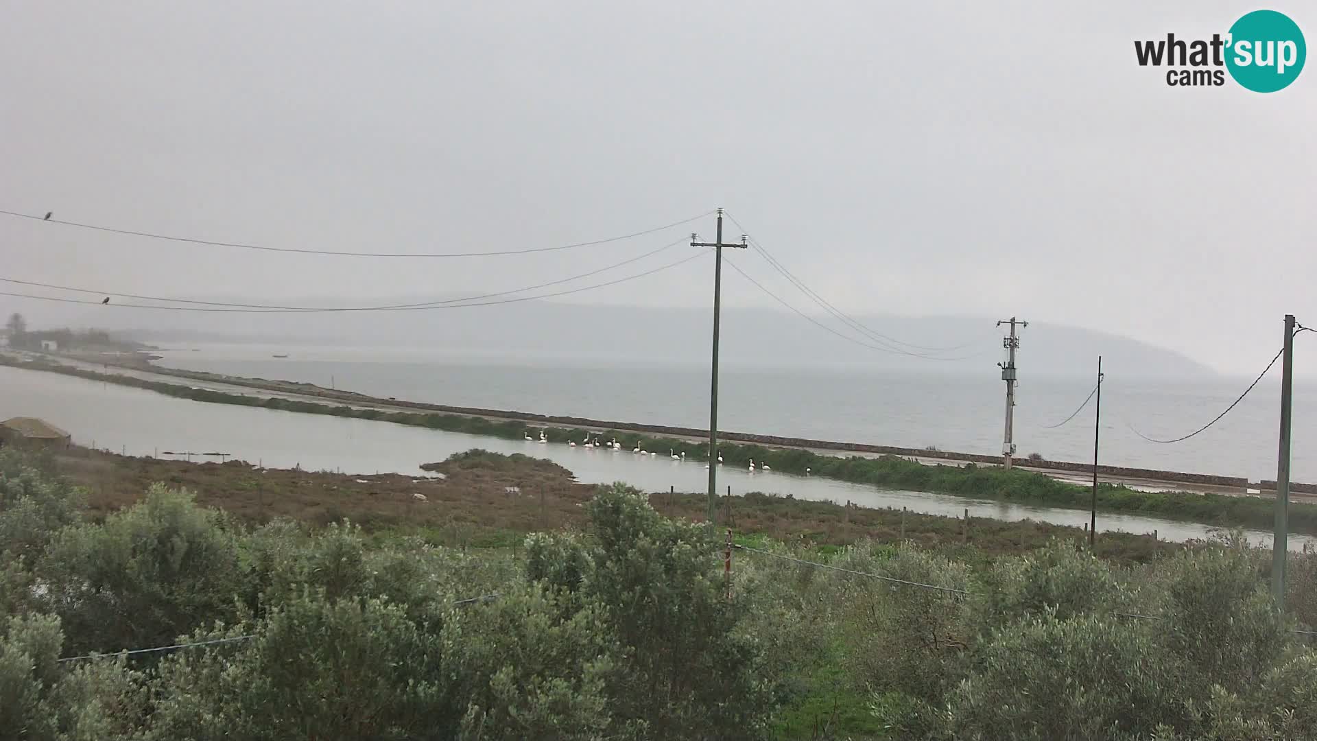 Beach Porto Botte webcam | Sardinia