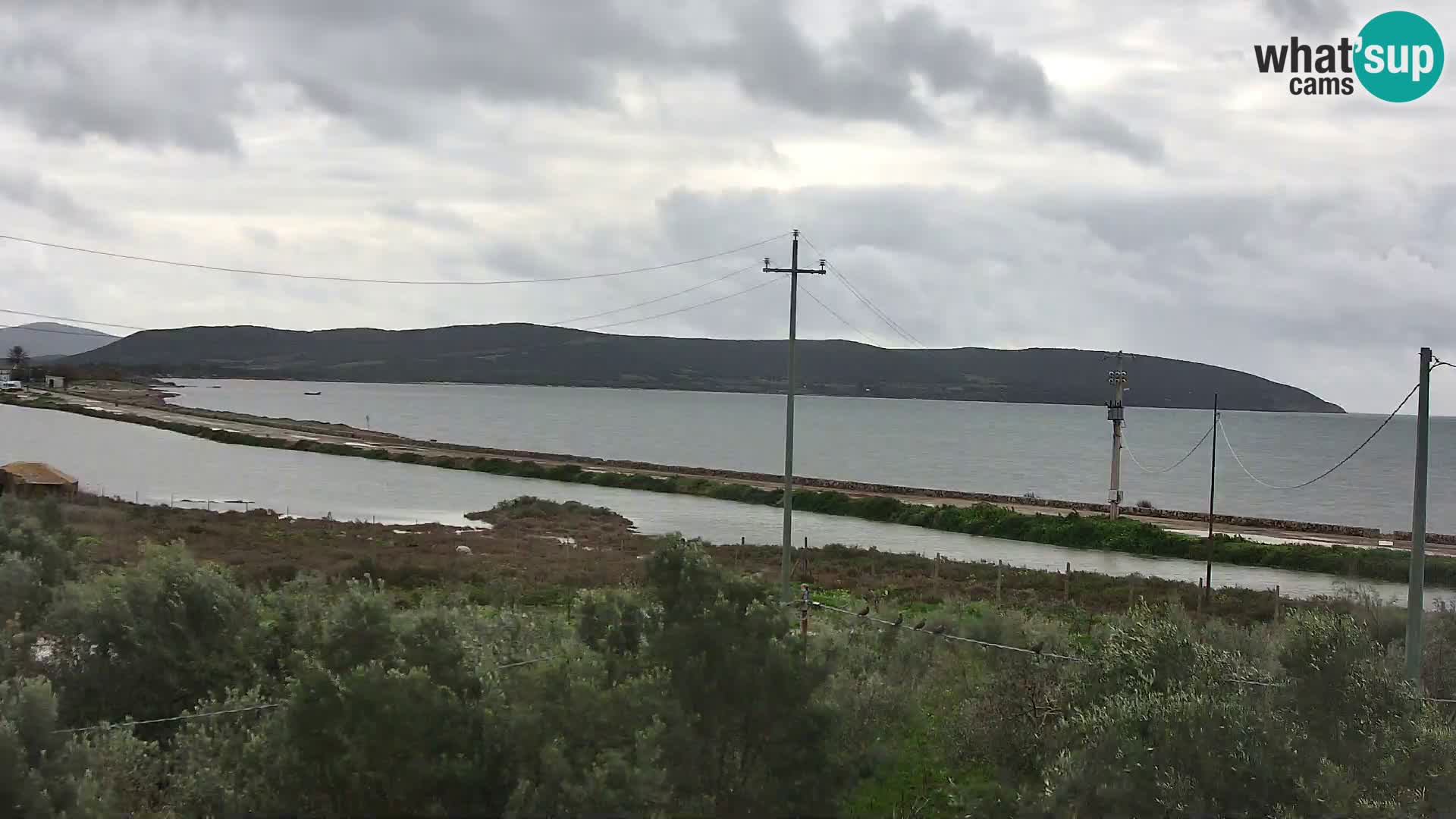 Playa Porto Botte webcam | Cerdena