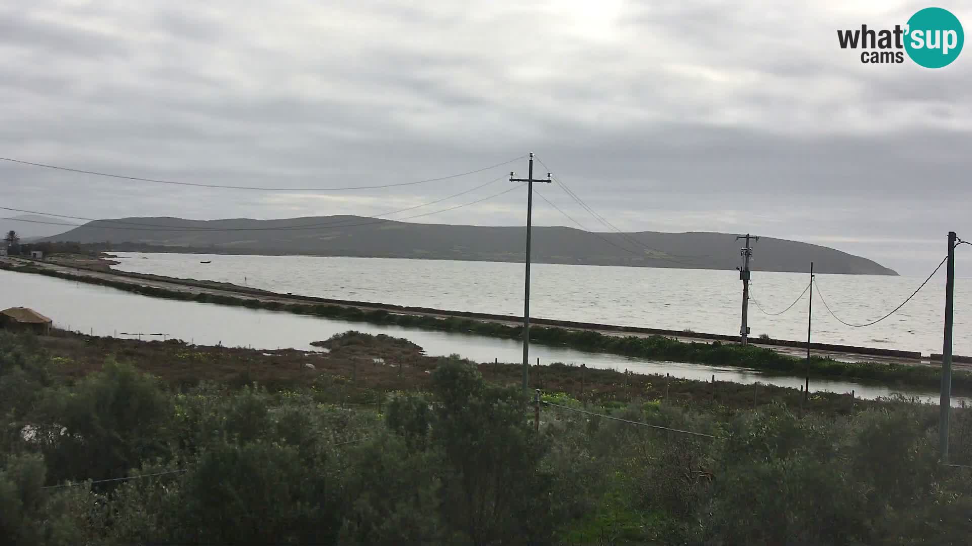 Playa Porto Botte webcam | Cerdena