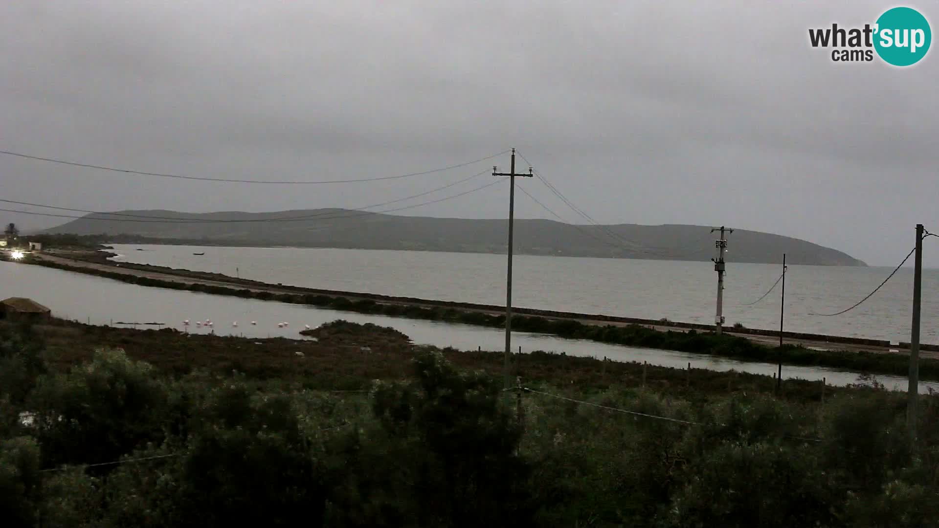 Playa Porto Botte webcam | Cerdena