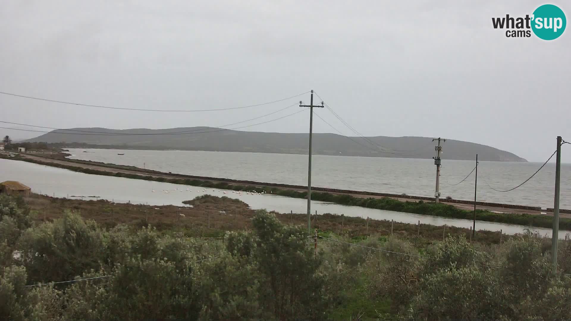 Beach Porto Botte webcam | Sardinia