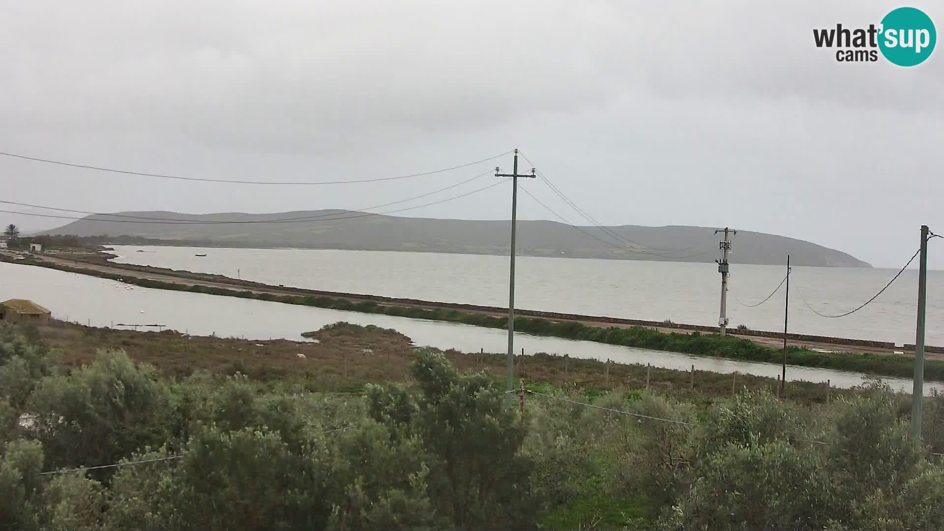 Playa Porto Botte webcam | Cerdena