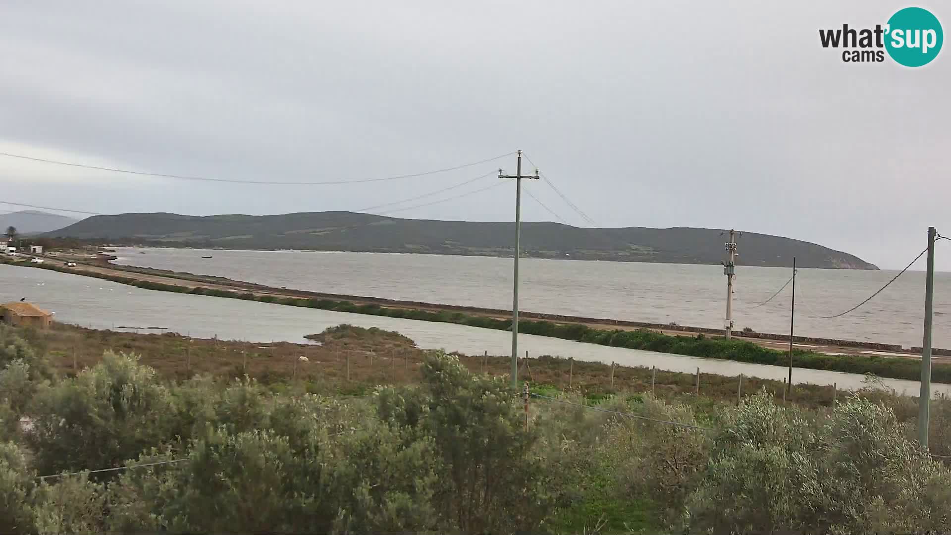 Playa Porto Botte webcam | Cerdena