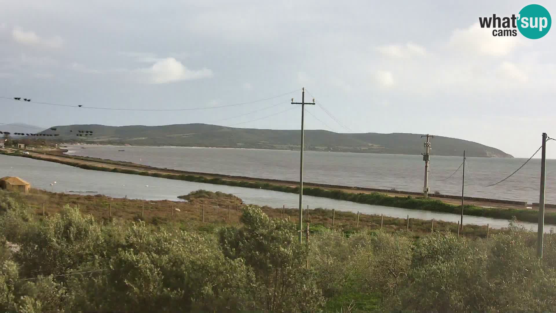 Webcam Porto Botte spiaggia | Sardegna