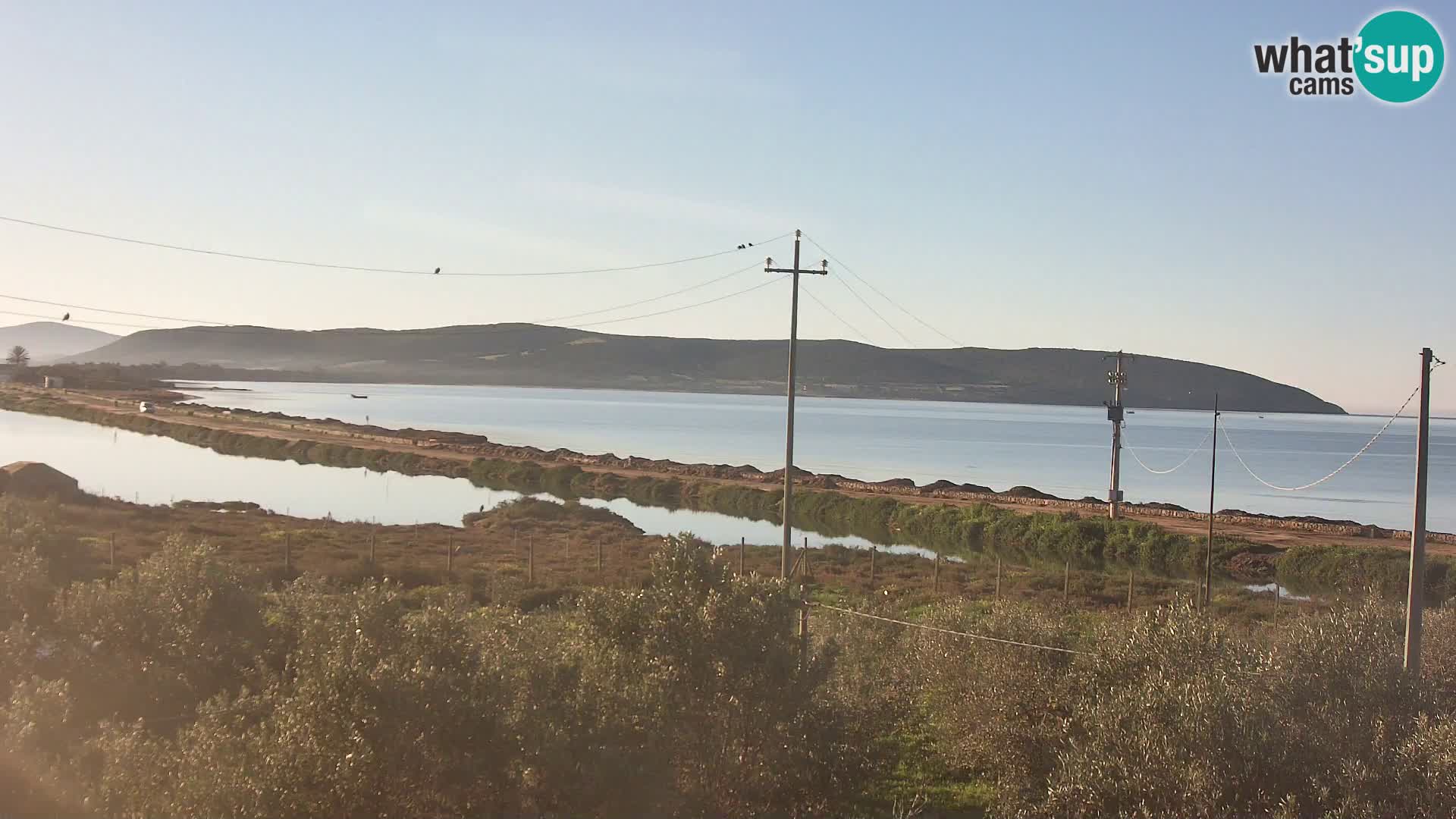 Strand Porto Botte webcam | Sardinien