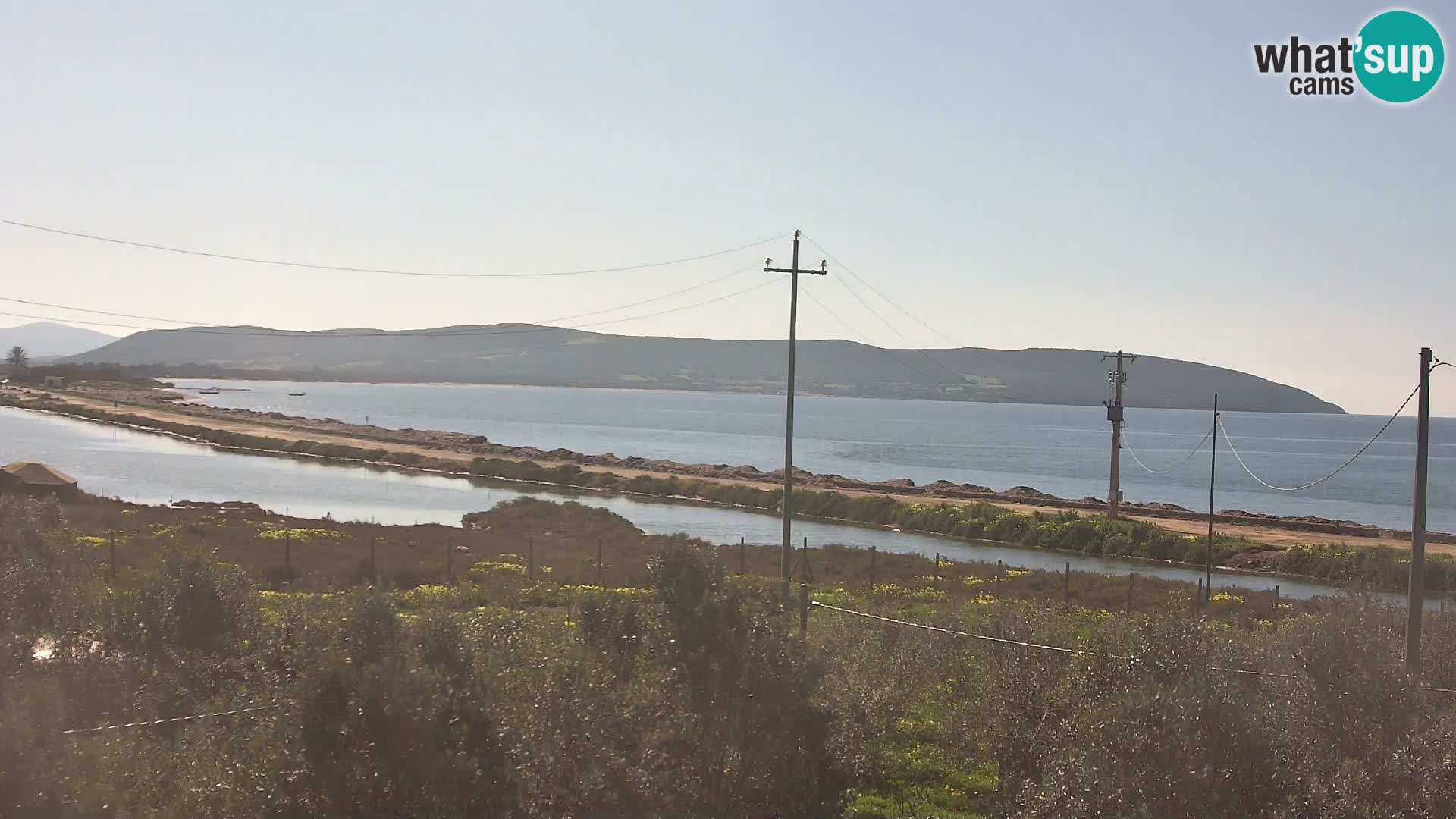 Playa Porto Botte webcam | Cerdena