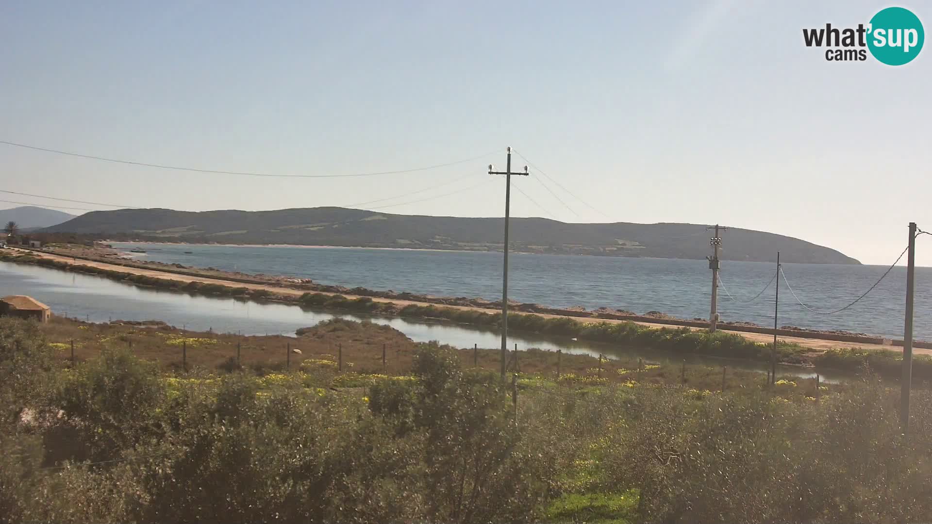 Beach Porto Botte webcam | Sardinia