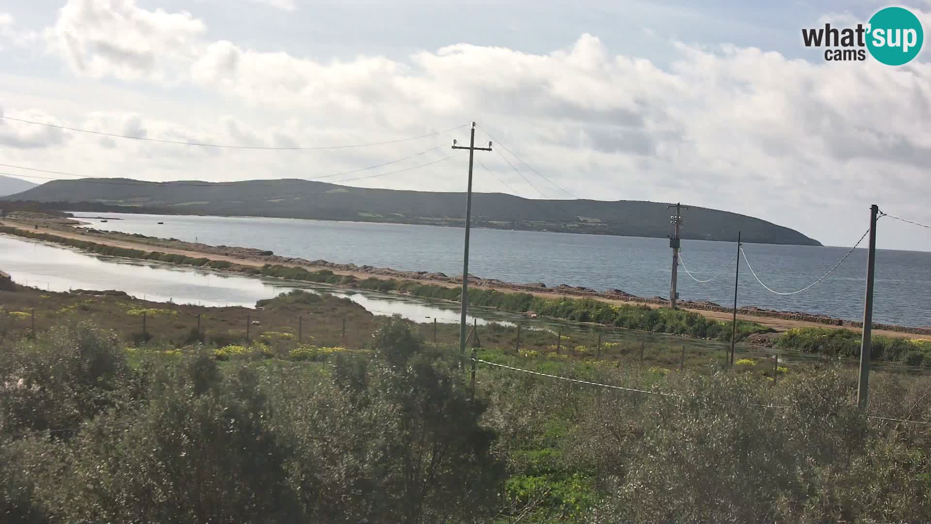 Playa Porto Botte webcam | Cerdena