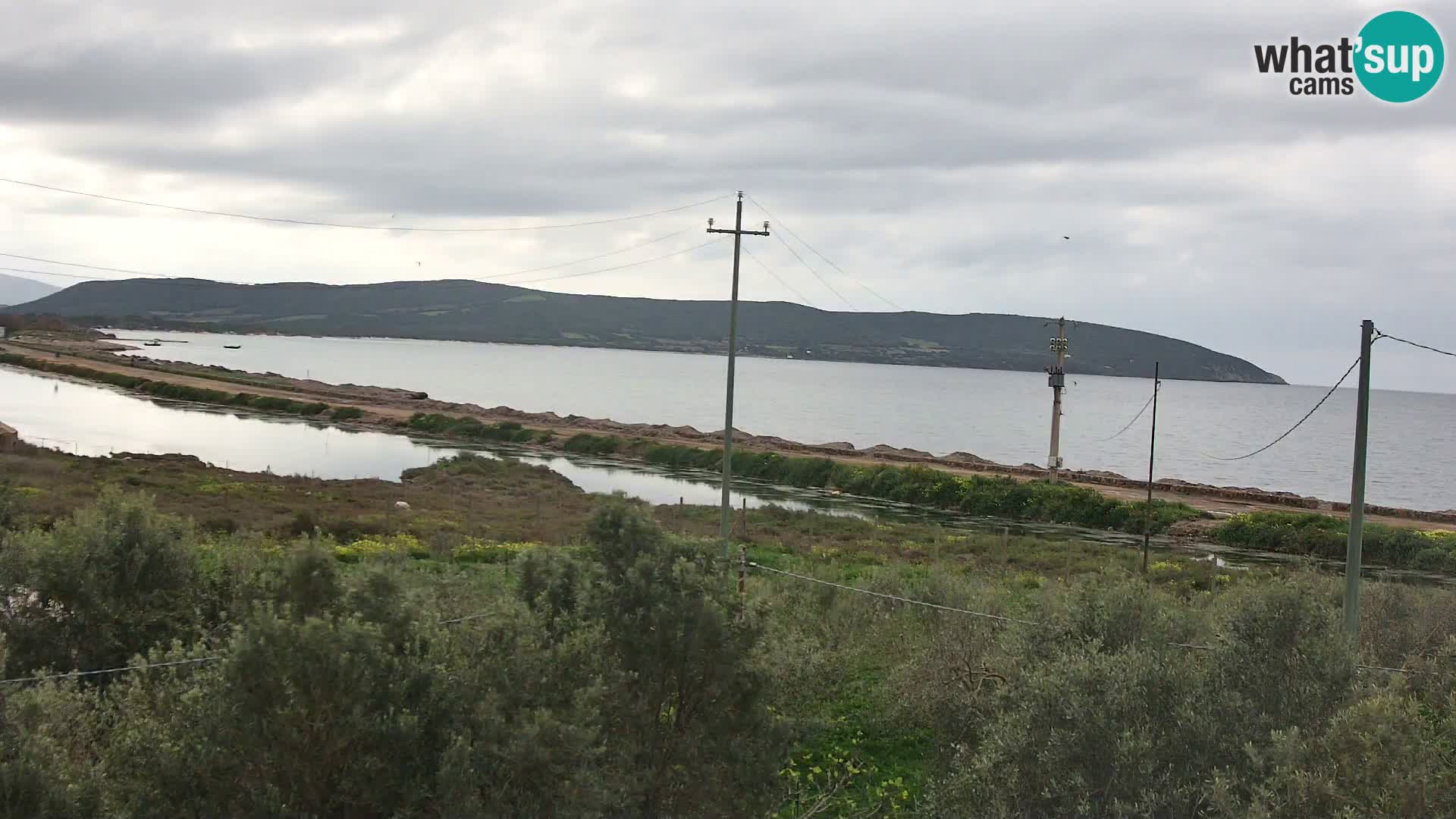 Playa Porto Botte webcam | Cerdena