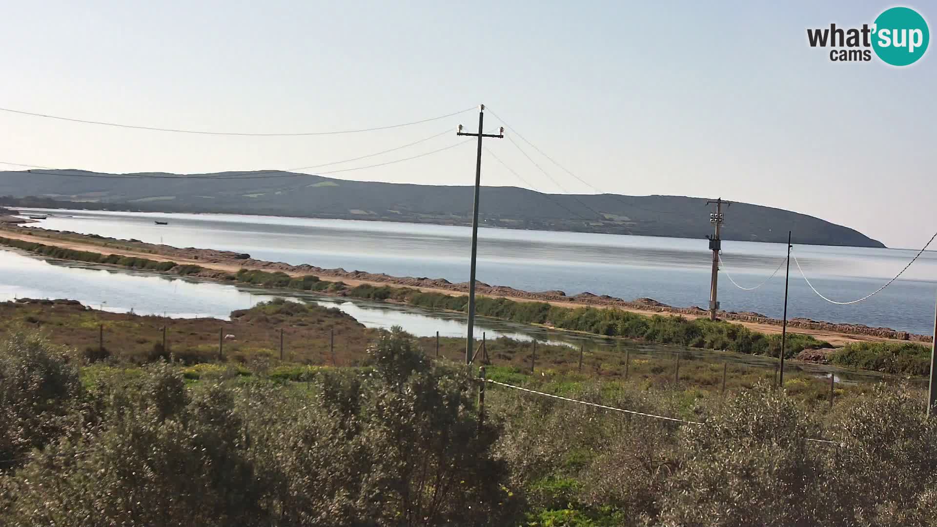 Plage Porto Botte webcam | Sardaigne