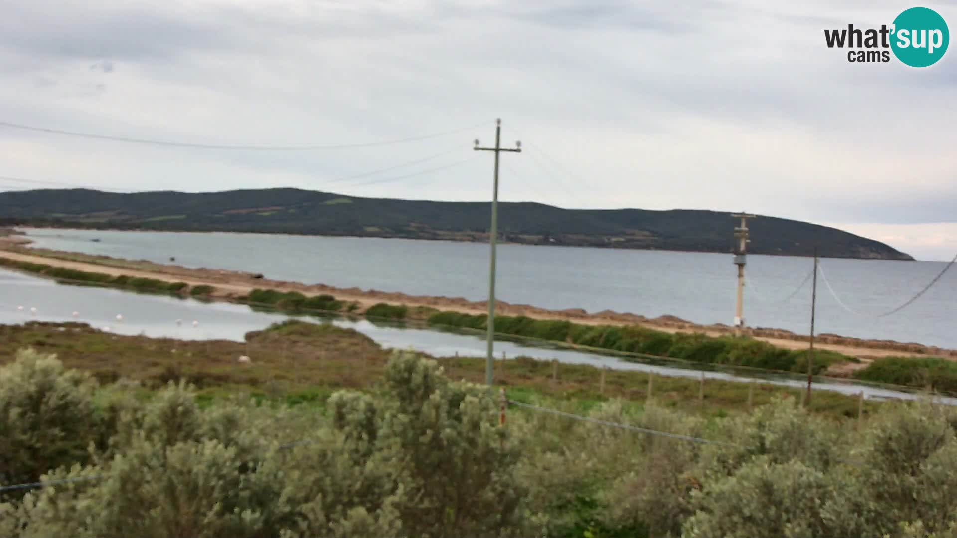 Beach Porto Botte webcam | Sardinia