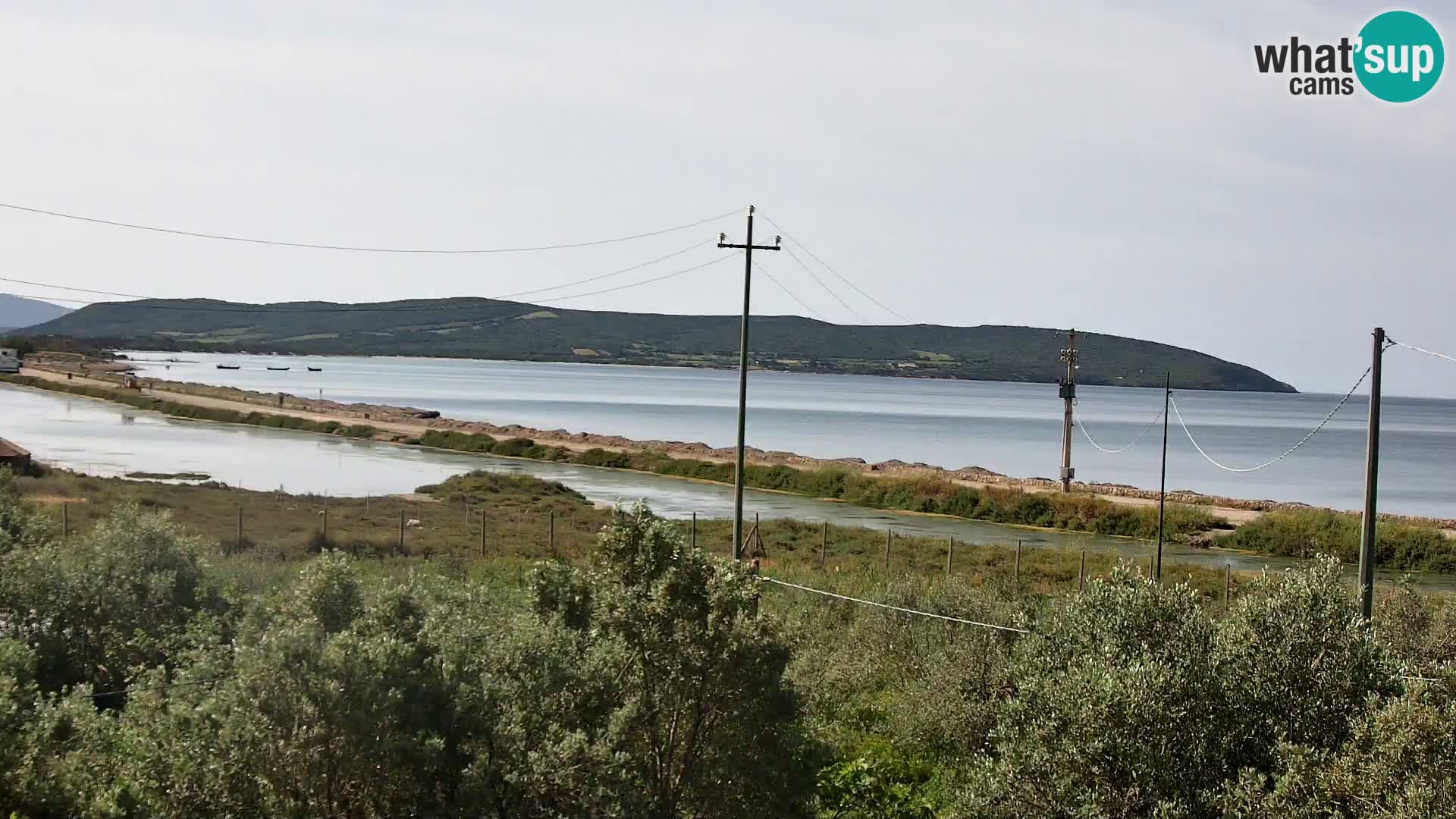 Playa Porto Botte webcam | Cerdena