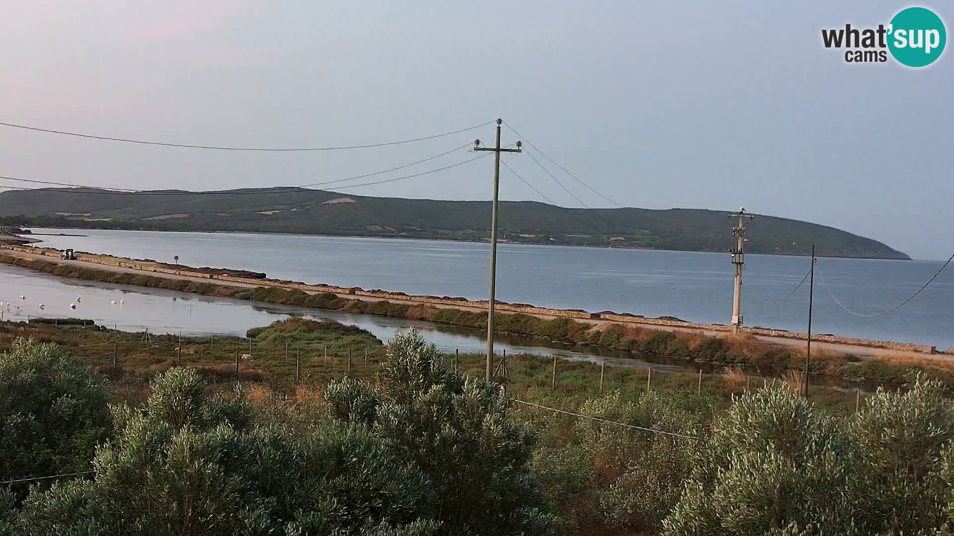 Webcam Porto Botte spiaggia | Sardegna