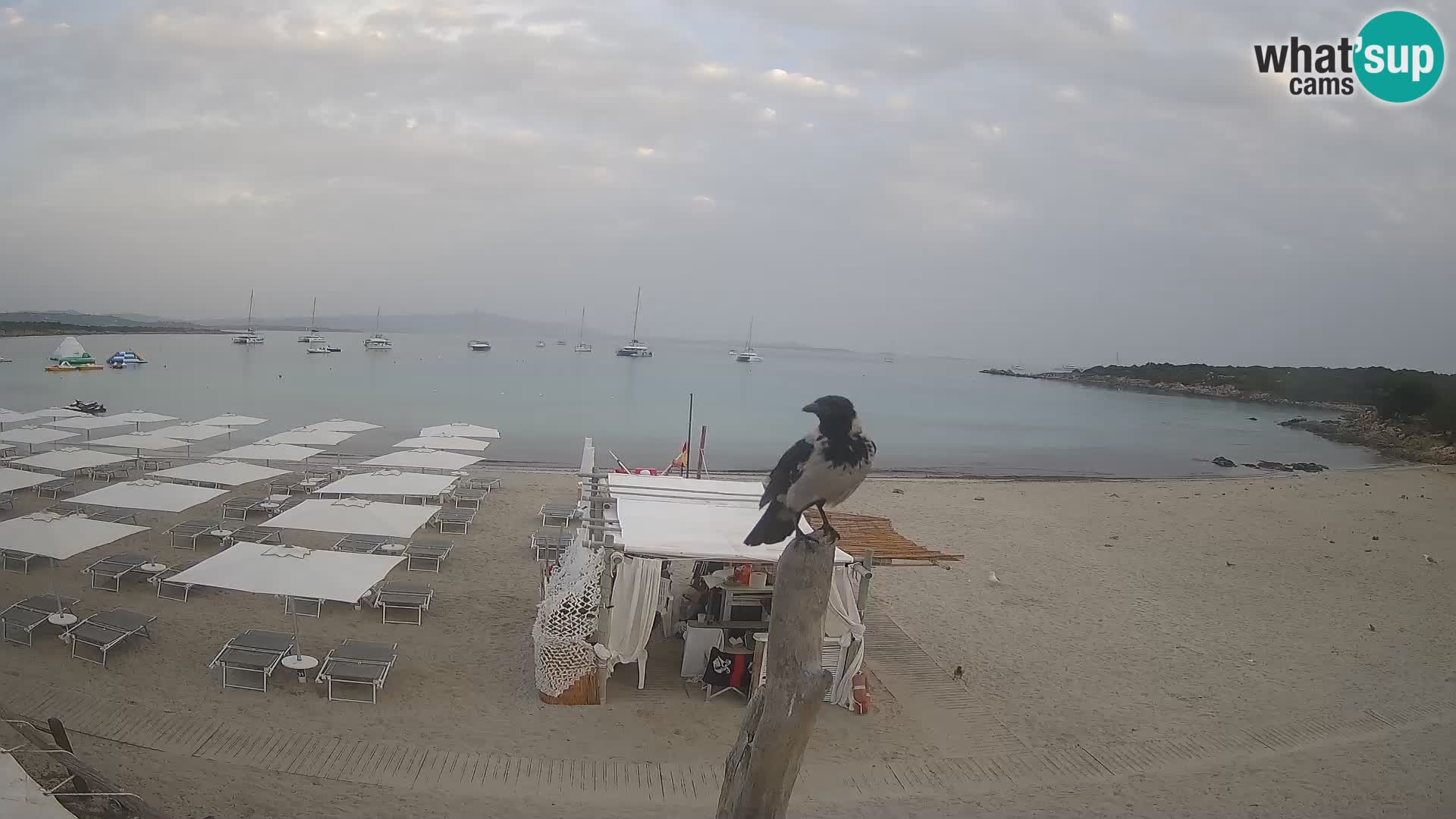 V živo plaža Cala Sabina – spletna kamera Golfo Aranci – Sardinija