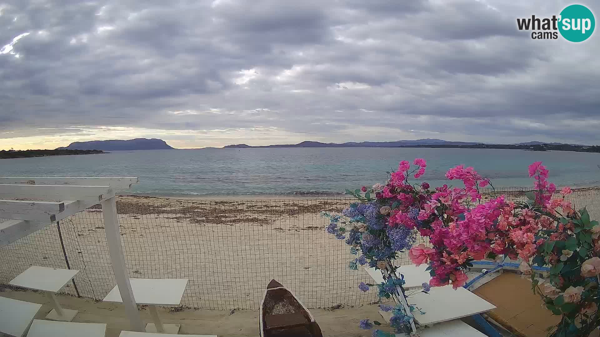 Web kamera Spiaggia Bianca – Golfo Aranci – Sardinija