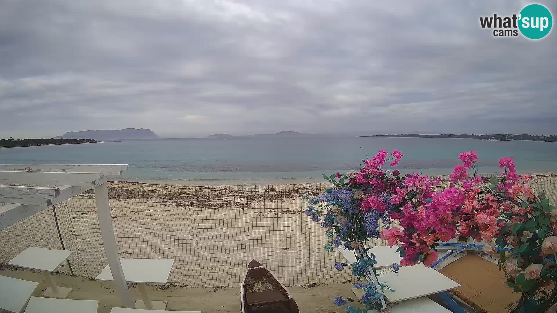 Spiaggia Bianca web cam – Golfo Aranci – Sardinien