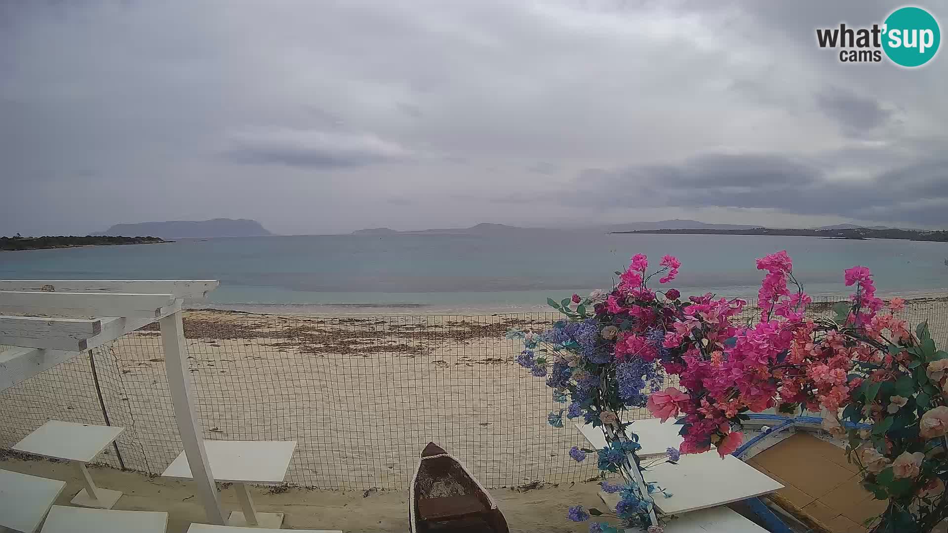 Web kamera Spiaggia Bianca – Golfo Aranci – Sardinija