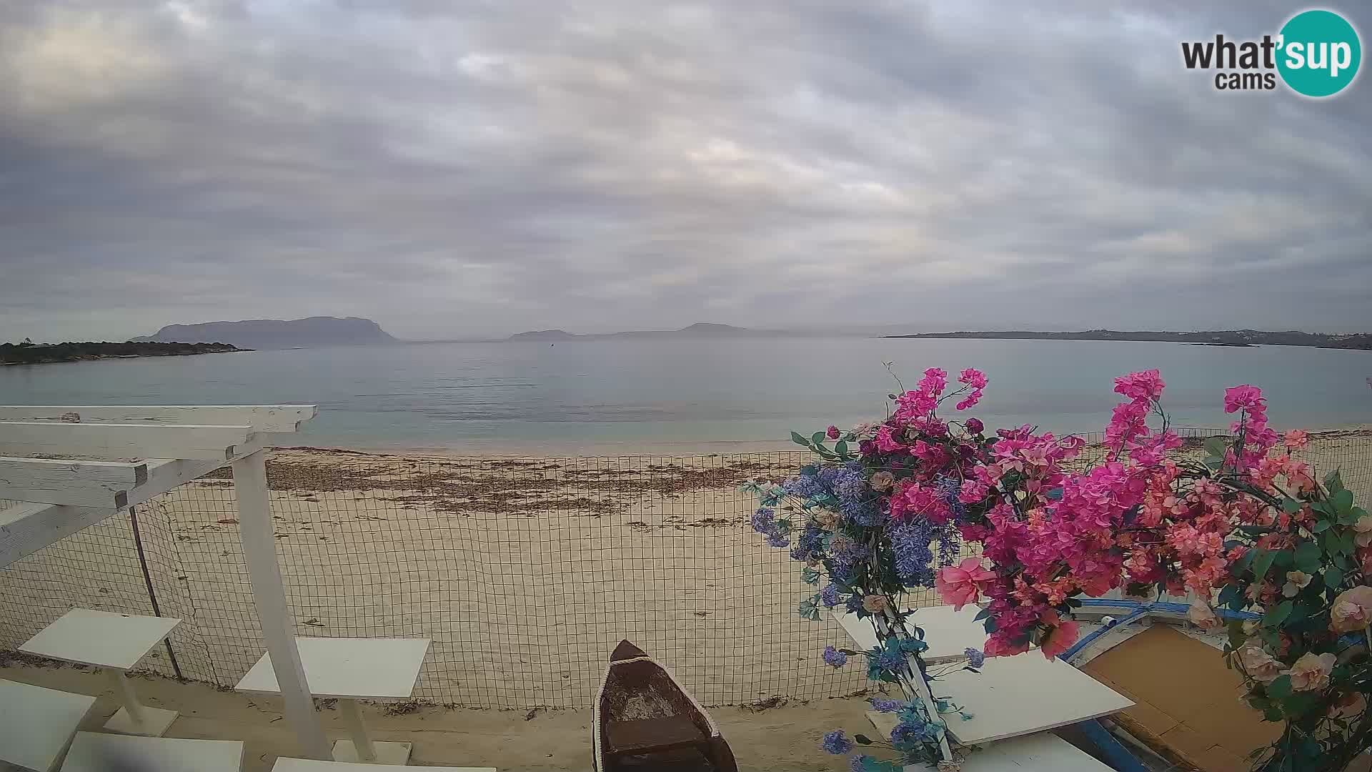 Spletana kamera Spiaggia Bianca – Golfo Aranci – Sardinija