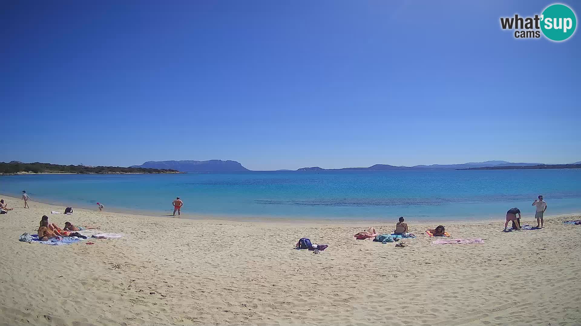 Camera web Spiaggia Bianca – Golfo Aranci – Cerdeña