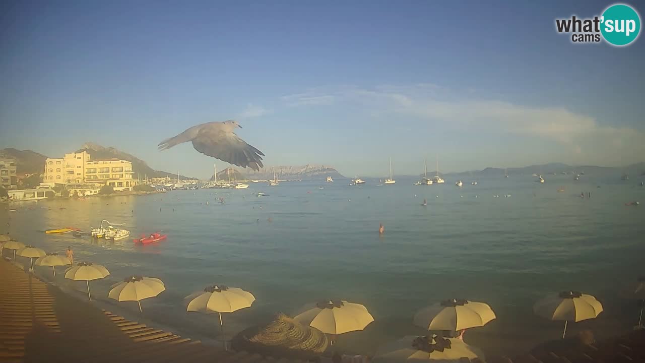 Webcam Terza Spiaggia Golfo Aranci – Vue en direct de la plage