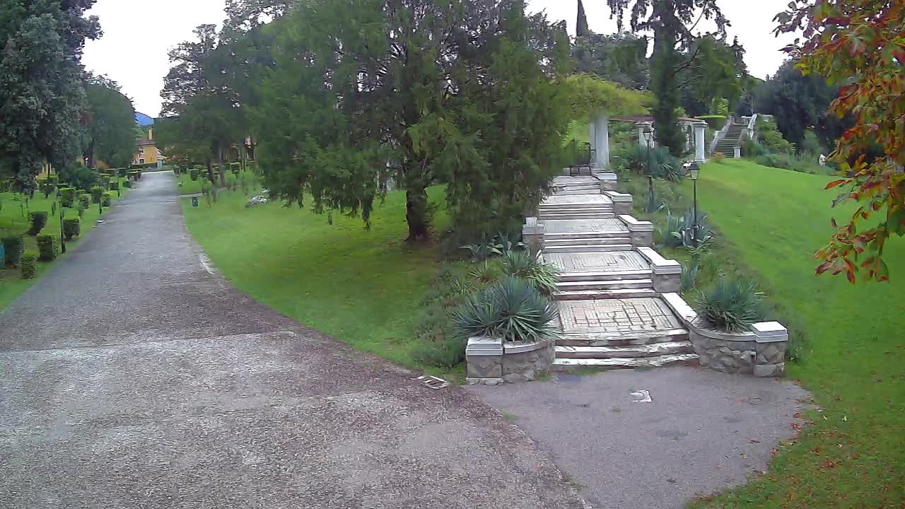 Parco Coronini-Cronberg Live Webcam – Green Oasis