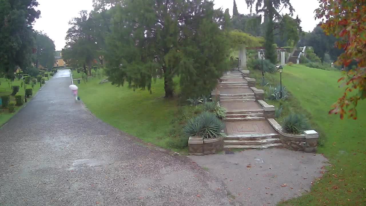 Parco Coronini-Cronberg Live Webcam – Green Oasis
