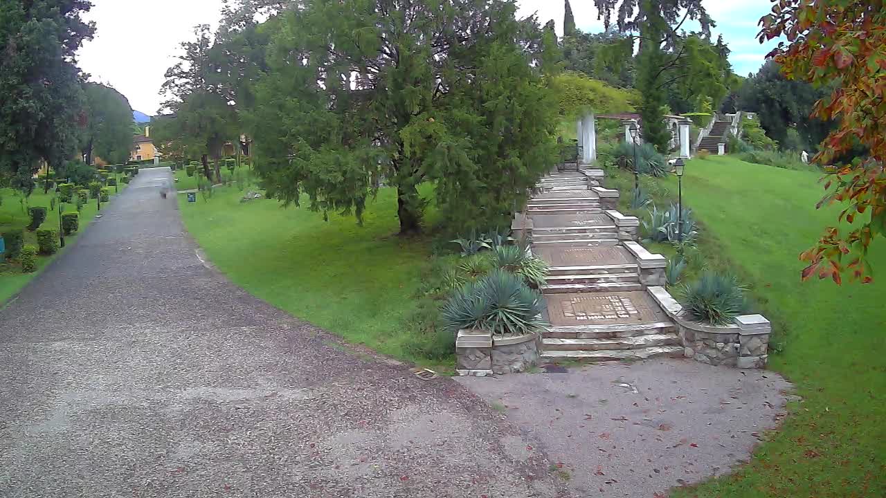 Parco Coronini-Cronberg Live Webcam – Green Oasis