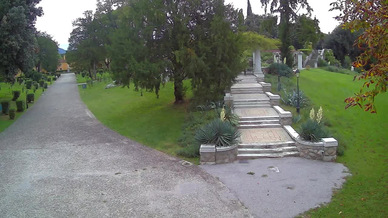Parco Coronini-Cronberg Live Webcam – Green Oasis