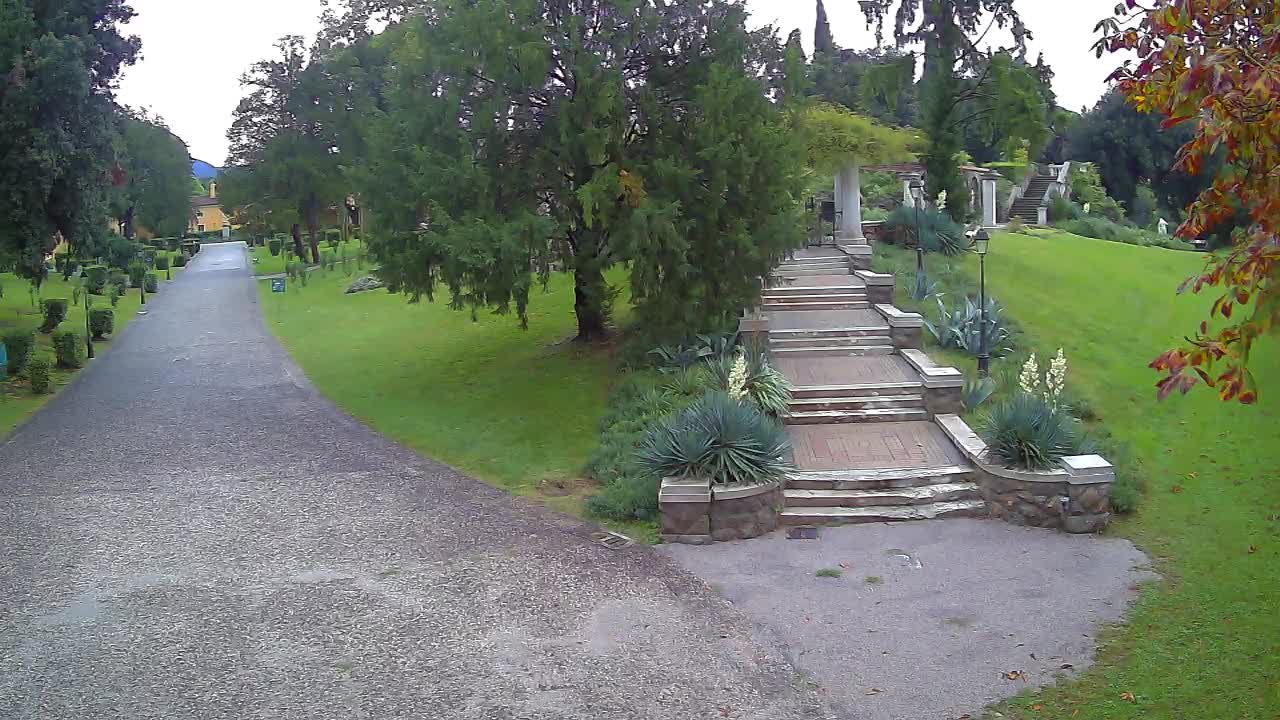 Parco Coronini-Cronberg Live Webcam – Green Oasis