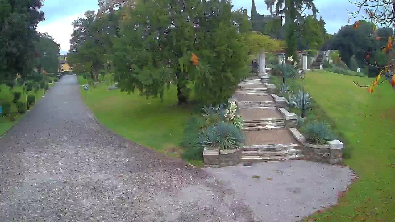Parco Coronini-Cronberg Live Webcam – Green Oasis